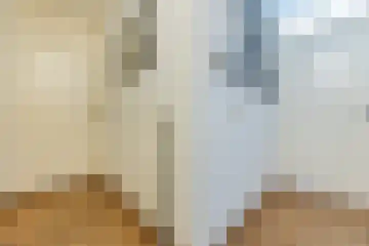 Zeislaan 99 Oosterhout thumbnail 9