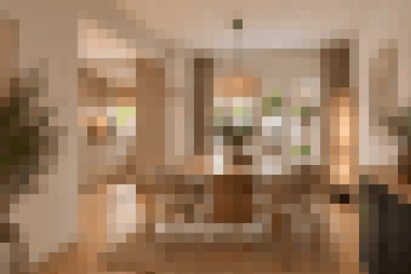 Zeisstraat 1 Breda thumbnail 11