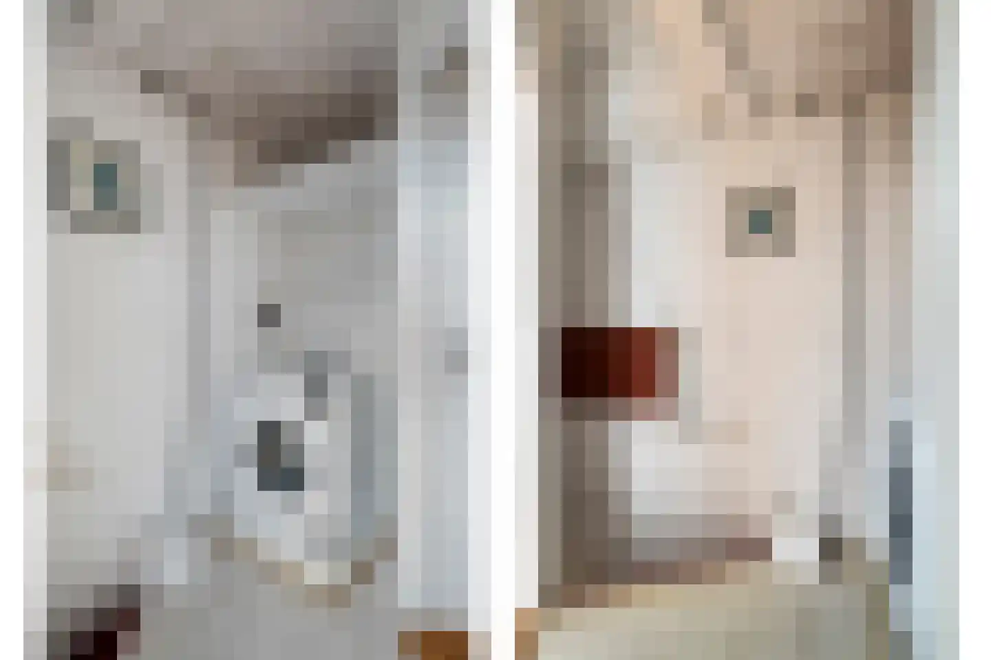 Zeisstraat 1 Breda thumbnail 27