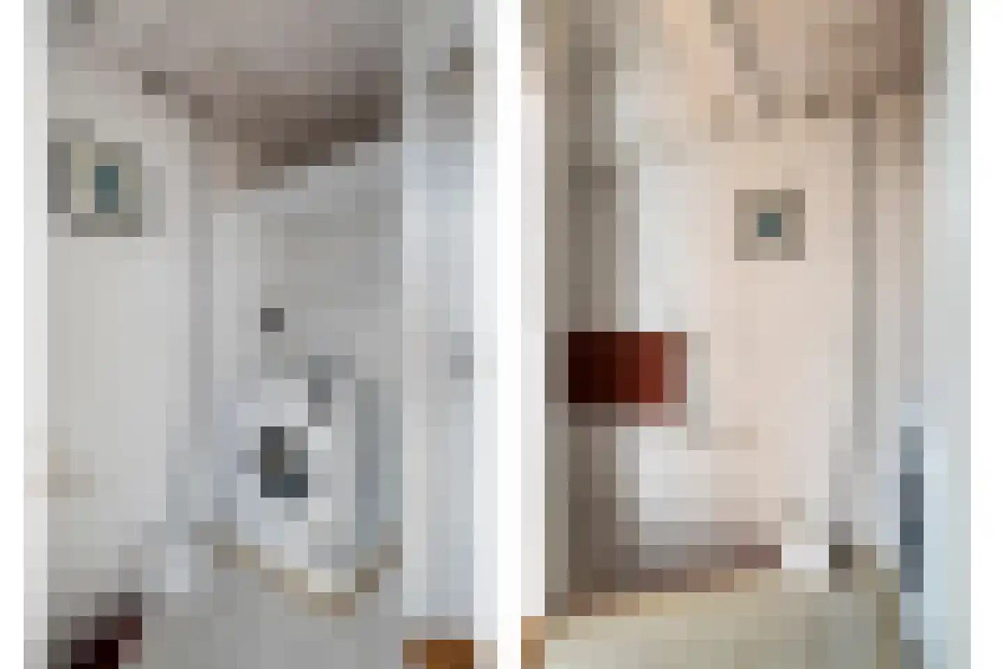 Zeisstraat 1 Breda thumbnail 31