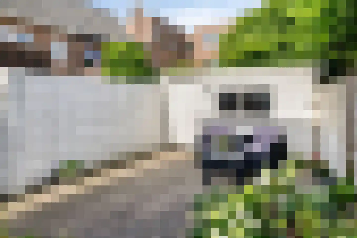 Zeisstraat 1 Breda thumbnail 37