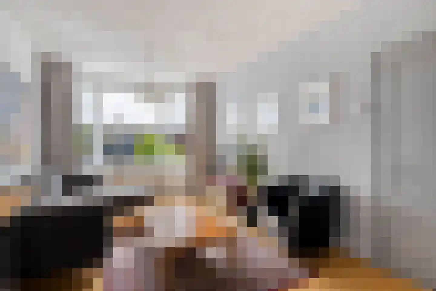 Zeisstraat 1 Breda thumbnail 4