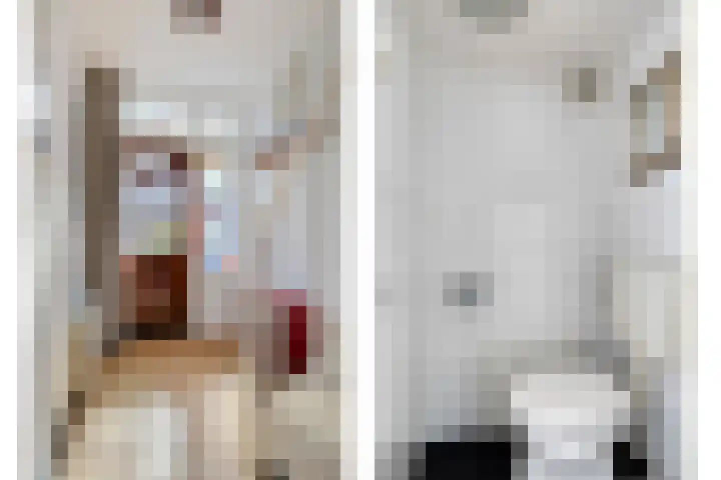 Zeisstraat 1 Breda thumbnail 6