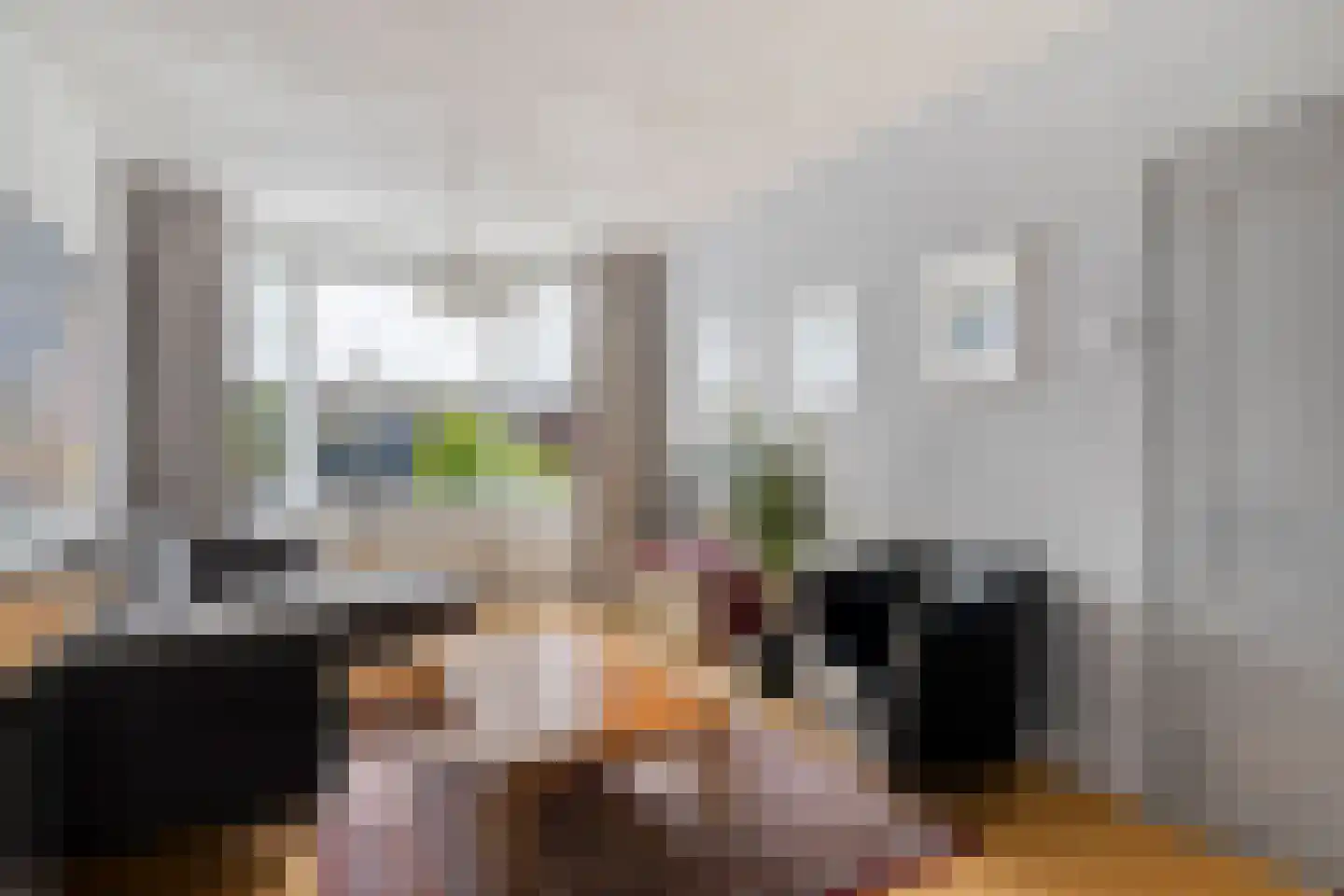 Zeisstraat 1 Breda thumbnail 8