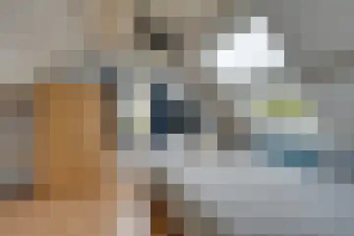 Zeisstraat 14 Purmerend thumbnail 34