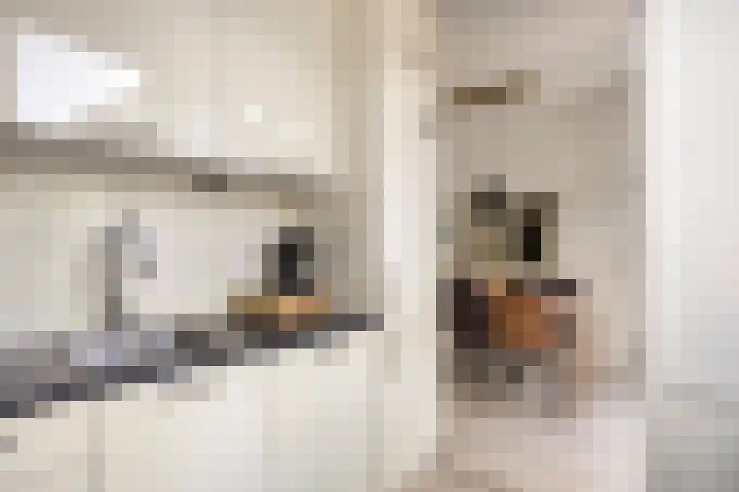 Zeisstraat 17 Purmerend thumbnail 17