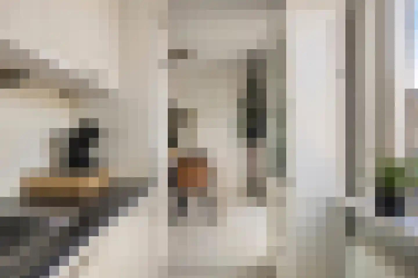 Zeisstraat 17 Purmerend thumbnail 18