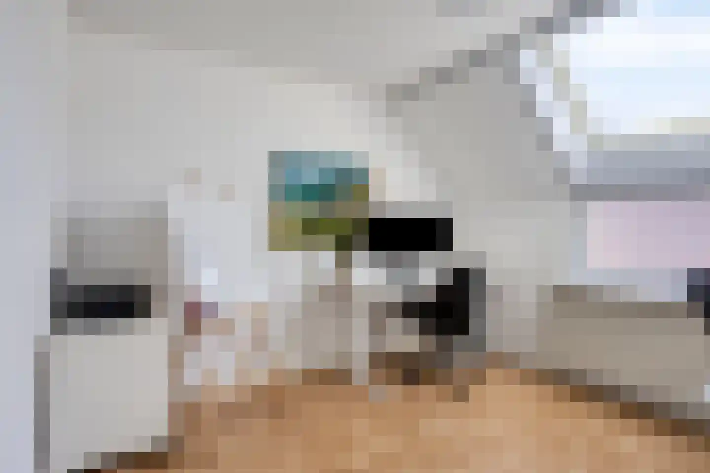 Zeisstraat 17 Purmerend thumbnail 29