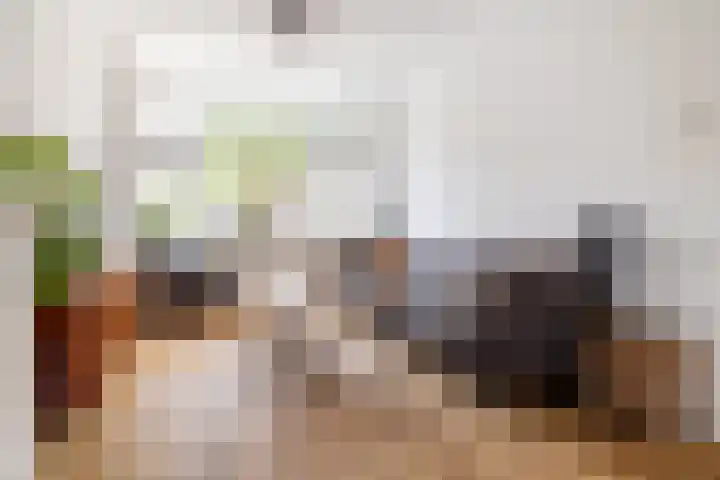 Zeisstraat 20 Breda thumbnail 12