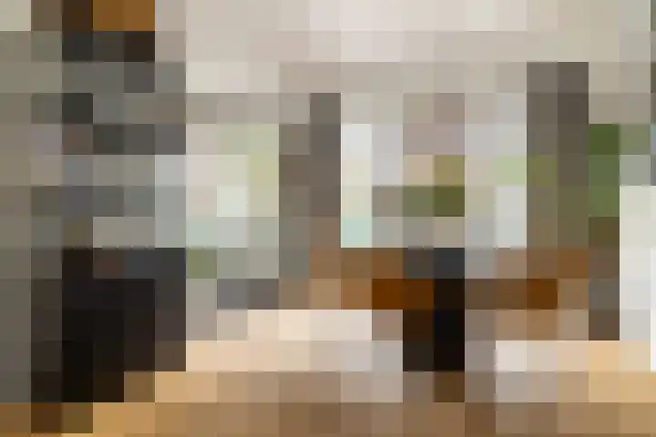 Zeisstraat 20 Breda thumbnail 15
