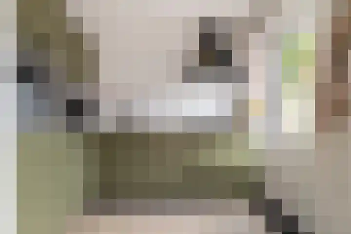 Zeisstraat 20 Breda thumbnail 17