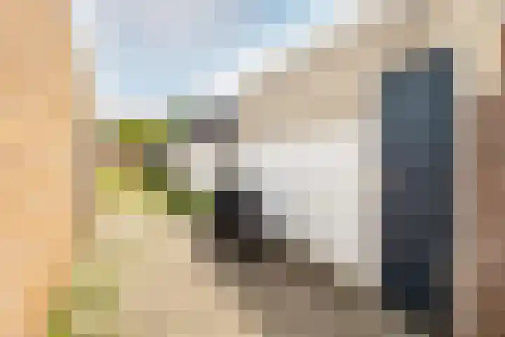Zeisstraat 20 Breda thumbnail 22