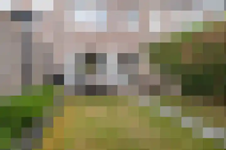 Zeisstraat 20 Breda thumbnail 23