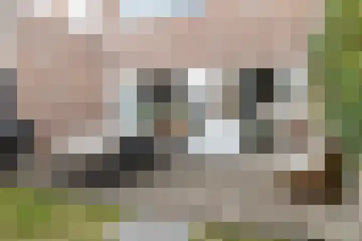 Zeisstraat 20 Breda thumbnail 26