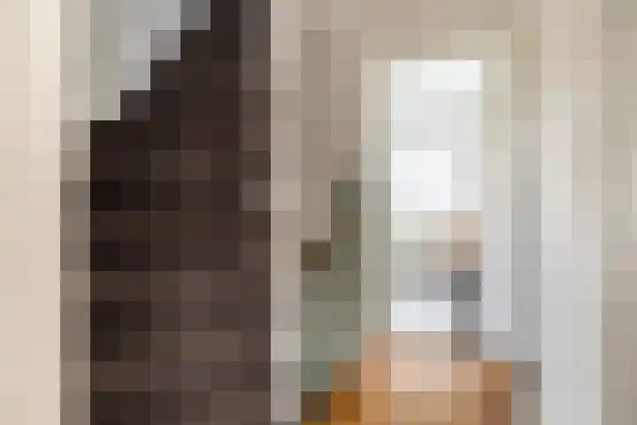 Zeisstraat 20 Breda thumbnail 27