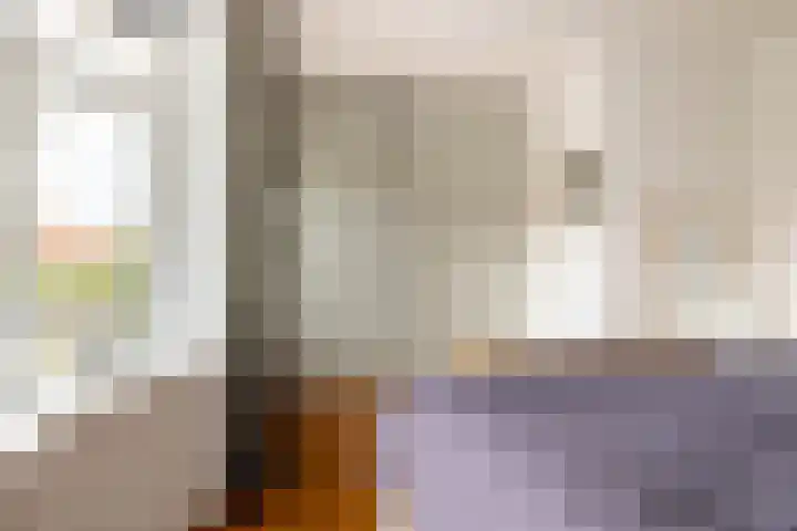 Zeisstraat 20 Breda thumbnail 31