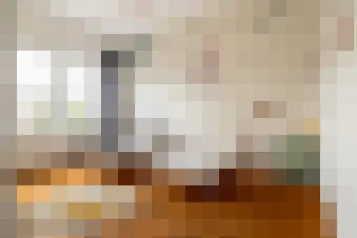 Zeisstraat 20 Breda thumbnail 32