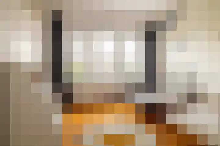 Zeisstraat 20 Breda thumbnail 33