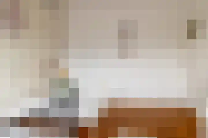 Zeisstraat 20 Breda thumbnail 34