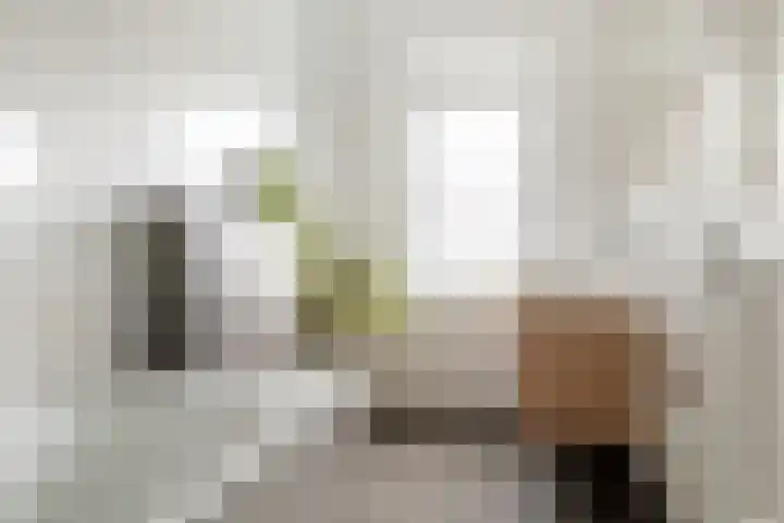Zeisstraat 20 Breda thumbnail 35