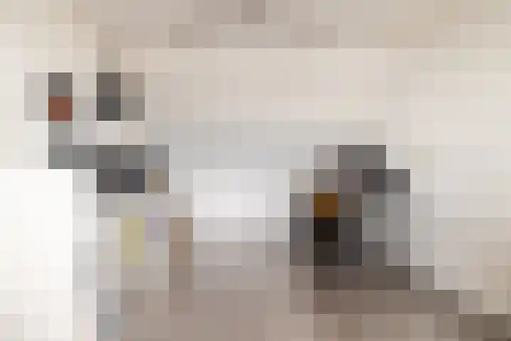 Zeisstraat 20 Breda thumbnail 38