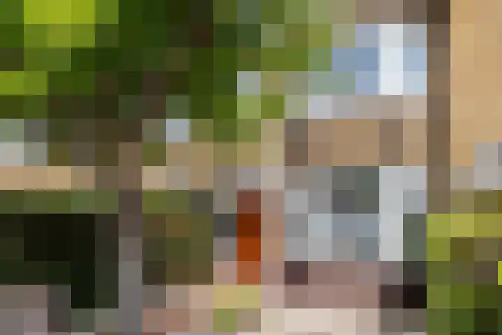 Zeisstraat 20 Breda thumbnail 7