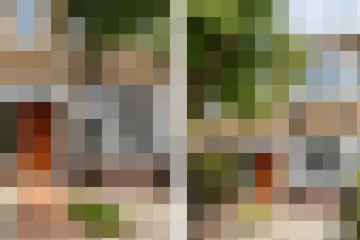 Zeisstraat 20 Breda thumbnail 8