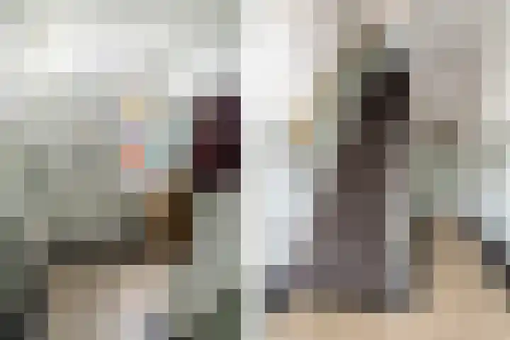 Zeisstraat 20 Breda thumbnail 9