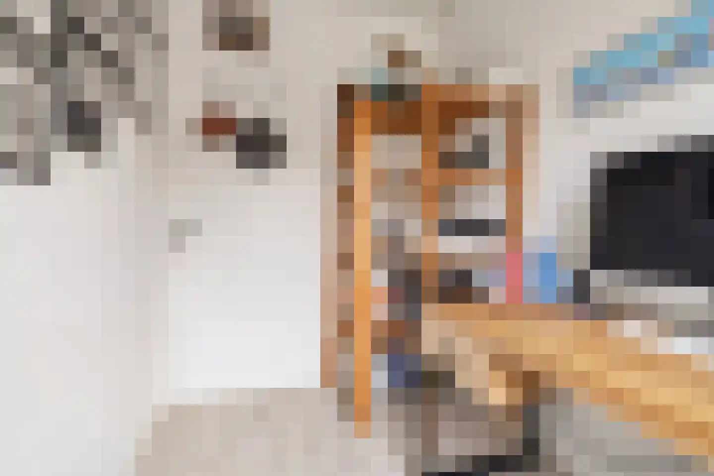 Zeisstraat 34 Breda thumbnail 25