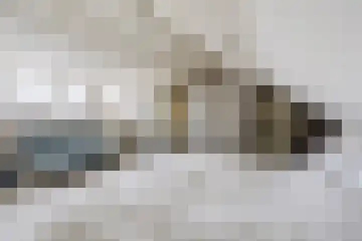 Zeisstraat 34 Breda thumbnail 30