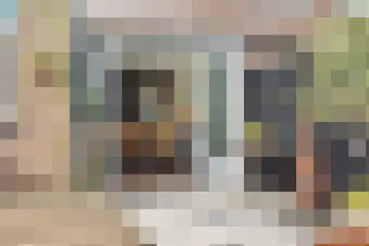 Zeisstraat 34 Breda thumbnail 32