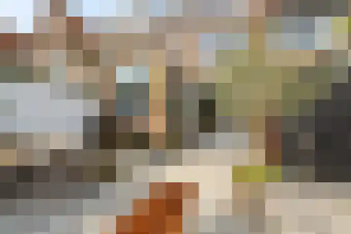 Zeisstraat 34 Breda thumbnail 34