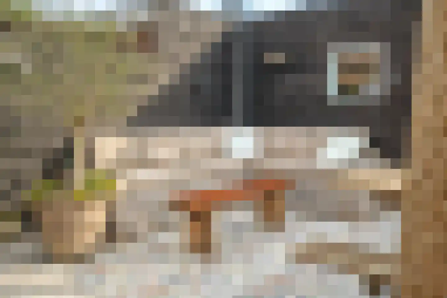 Zeisstraat 34 Breda thumbnail 36