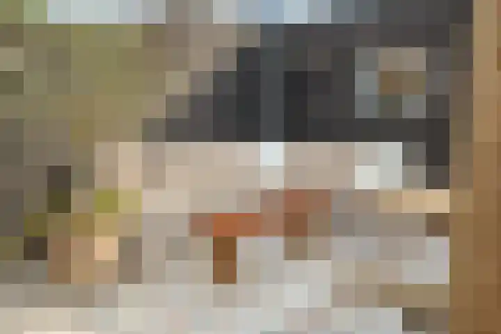 Zeisstraat 34 Breda thumbnail 36