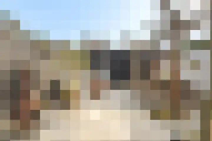 Zeisstraat 34 Breda thumbnail 37
