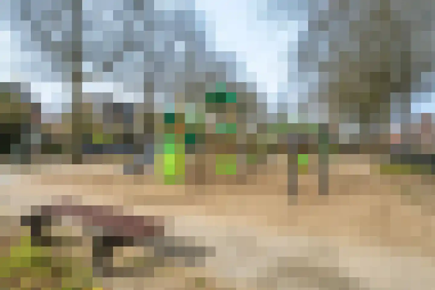 Zeisstraat 34 Breda thumbnail 41