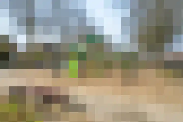 Zeisstraat 34 Breda thumbnail 41
