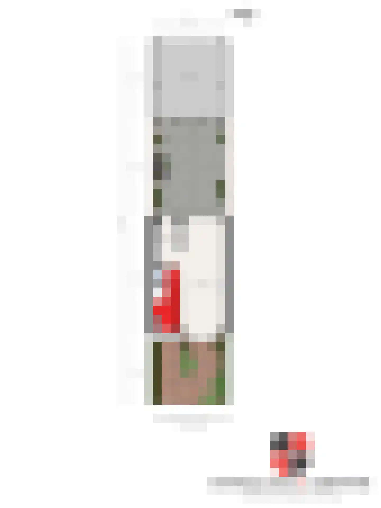 Zeisstraat 42 Breda thumbnail 16