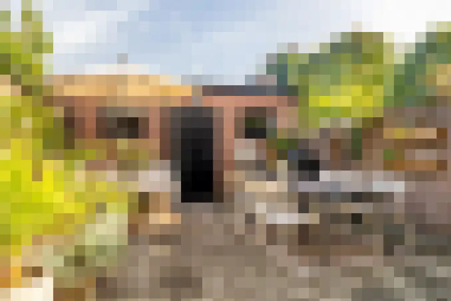 Zeisstraat 42 Breda thumbnail 34