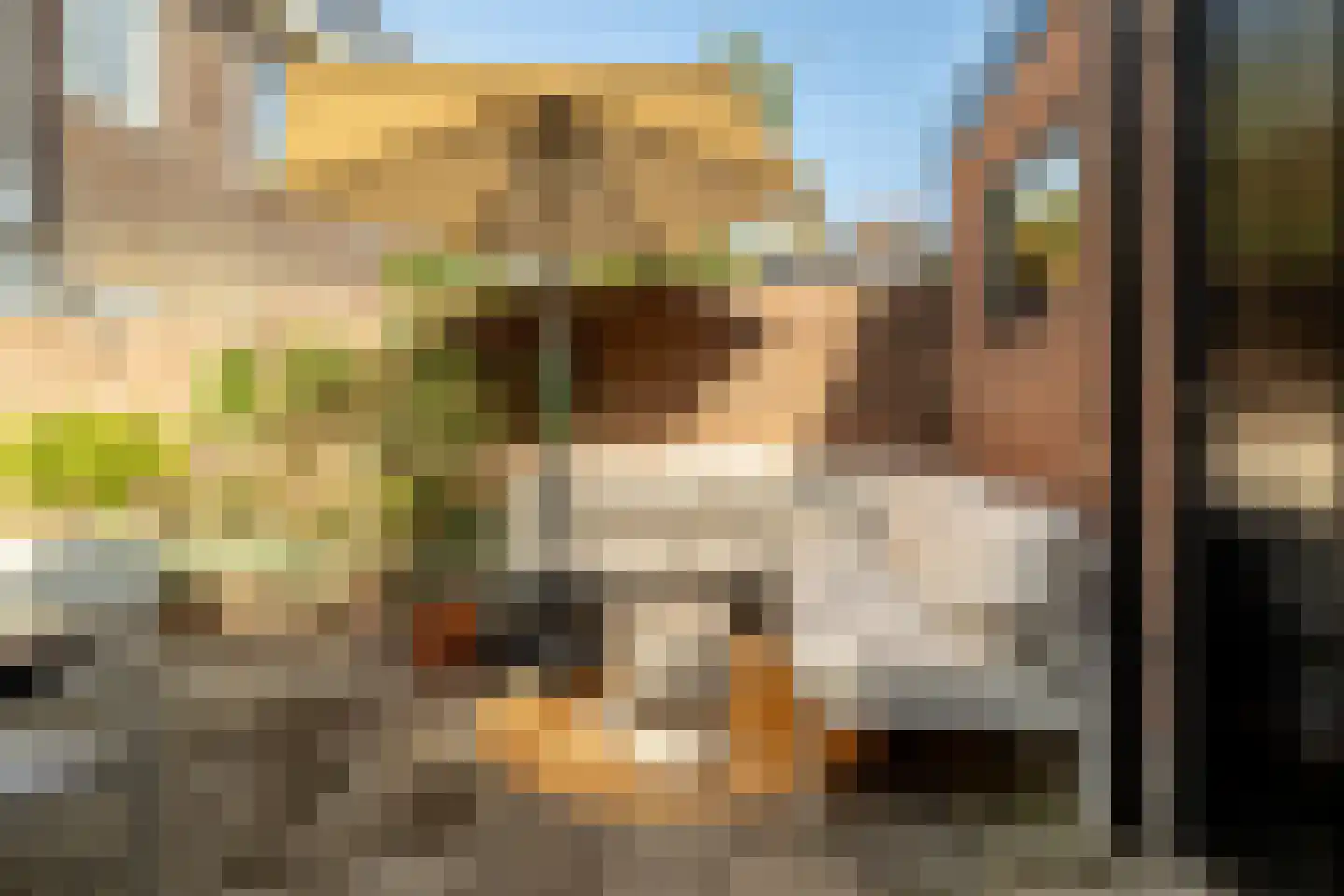 Zeisstraat 42 Breda thumbnail 37
