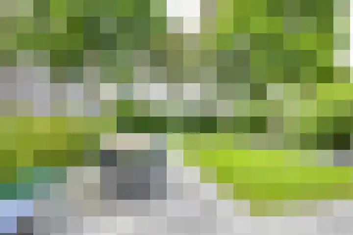 Zeister Eng 122 Zeist thumbnail 15