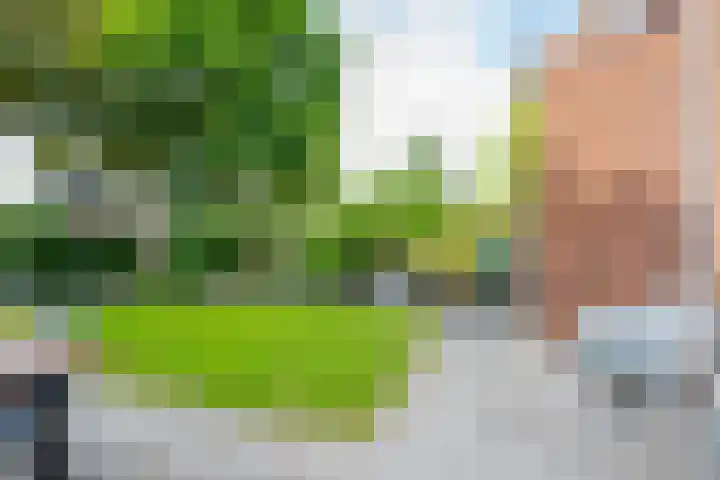 Zeister Eng 122 Zeist thumbnail 16