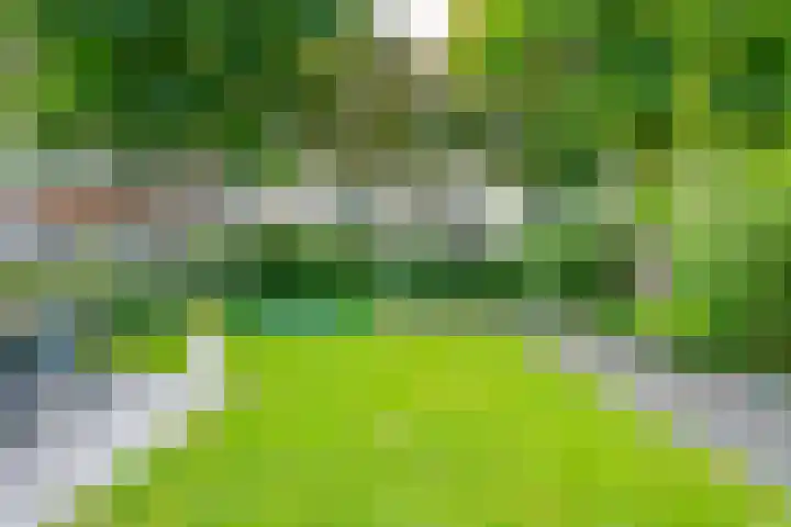 Zeister Eng 122 Zeist thumbnail 17