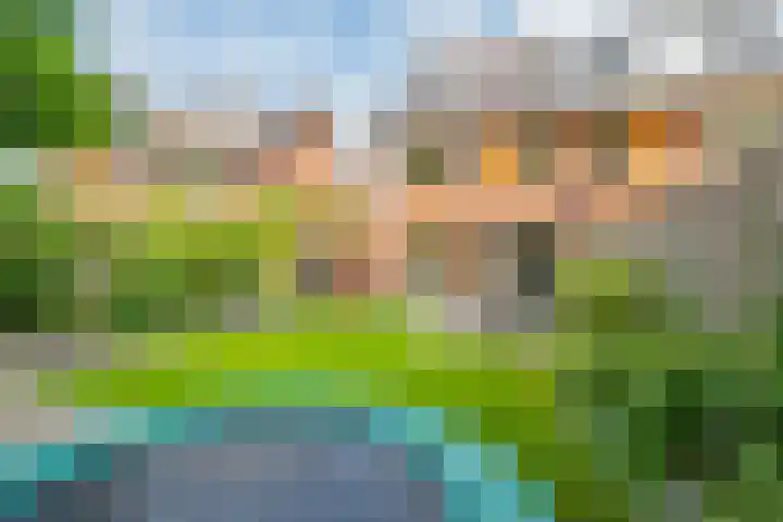 Zeister Eng 122 Zeist thumbnail 19