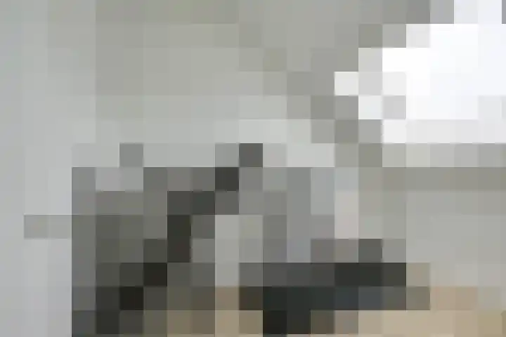 Zeister Eng 122 Zeist thumbnail 40