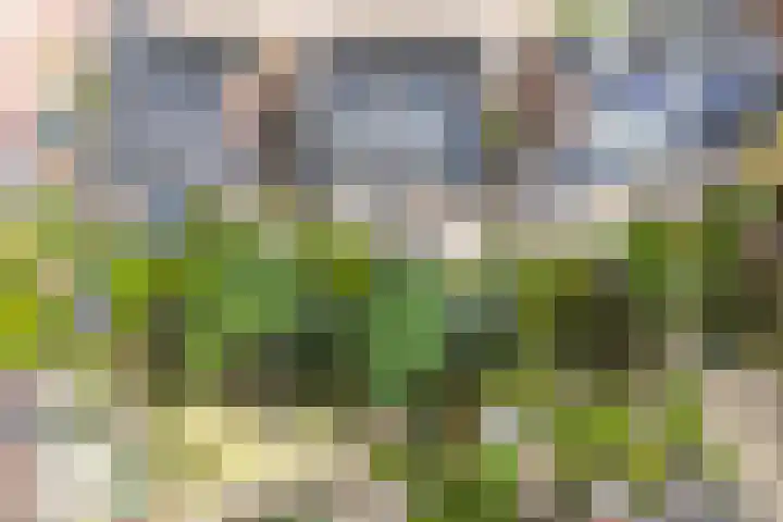 Zeister Eng 122 Zeist thumbnail 47