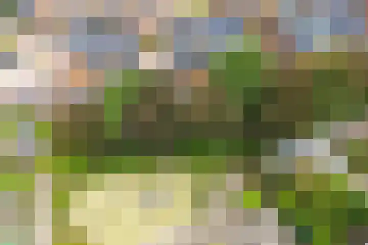 Zeister Eng 122 Zeist thumbnail 48