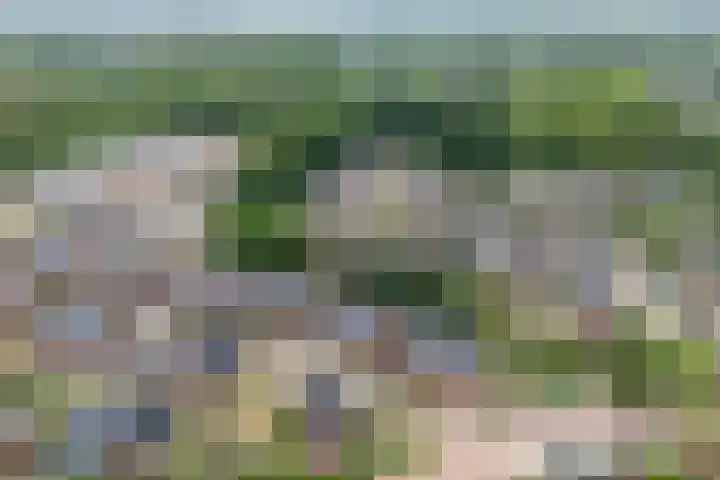 Zeister Eng 122 Zeist thumbnail 52
