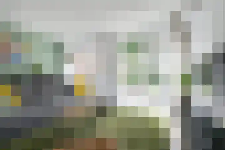 Zeister Eng 122 Zeist thumbnail 6
