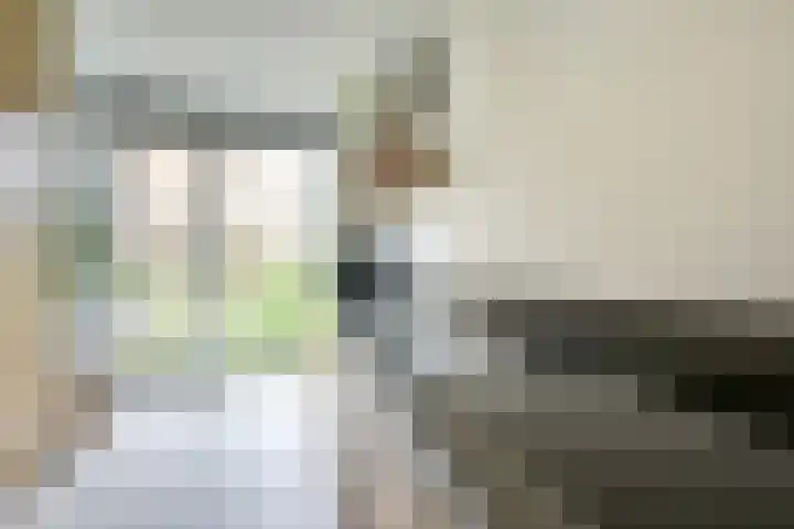 Zeister Eng 122 Zeist thumbnail 9